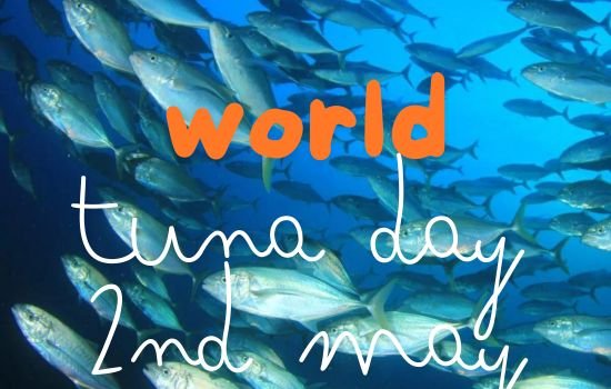 World Tuna Day 2 May 2024