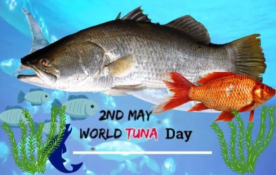 World Tuna Day 2 May 2024
